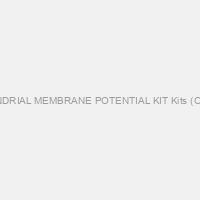 MITOCHONDRIAL MEMBRANE POTENTIAL KIT Kits (OKSA11300)